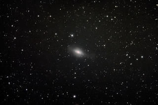 2019.4.2f_NGC3521NR.JPG